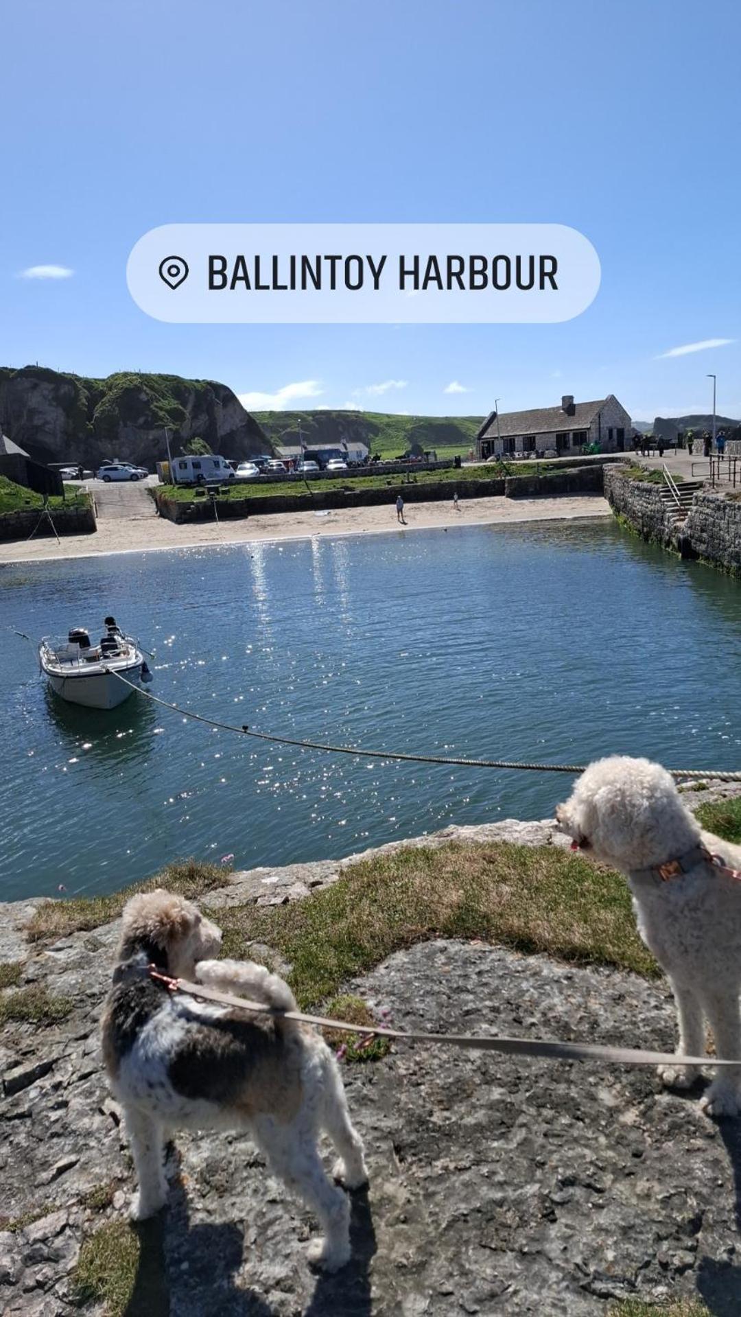 Therapy * Ballycastle